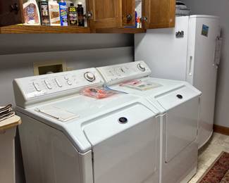 Neptune washer and gas dryer. works great