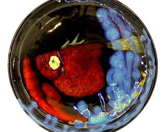 Signed Carlos Vizev Glazed Pottery Charger
