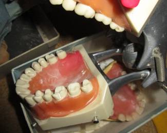 Dental oddities