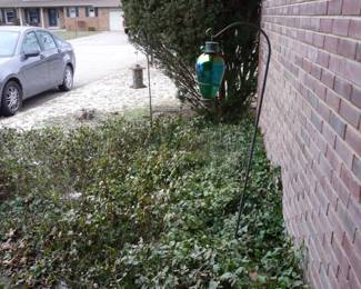 bird feeders /  MY car is NOT For sale 