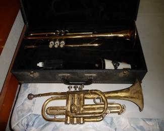 horn with case