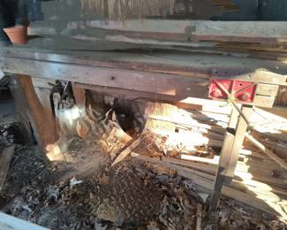 Wooden work table with small vise 
