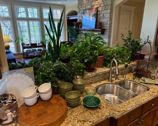 Live Plants