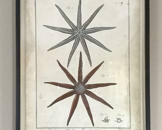 Starfish Print