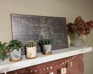 Fun decor throughout, including these potted artificial succulents and a map of Grand Rapids.