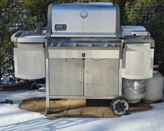 Weber gas grill