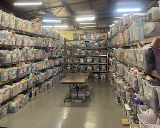 THE BACK IS OPEN TO SHOPPERS! Digger sale - bins are stuffed to the max with assorted, unorganized inventory.