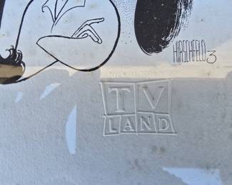 TV Land Framed poster