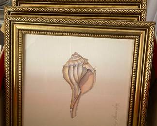 Set of Shell Prints