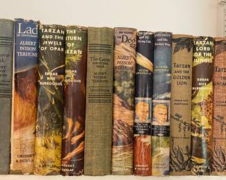 Old Edgar Rice Burroughs Tarzan Books