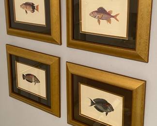 Fish Prints