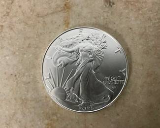 CLOSE UP VIEW SILVER EAGLE