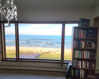 Books - Read & Enjoy Lake Michigan View