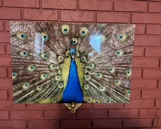 Unframed Peacock Picture, 30 x 24, was $24, NOW $15