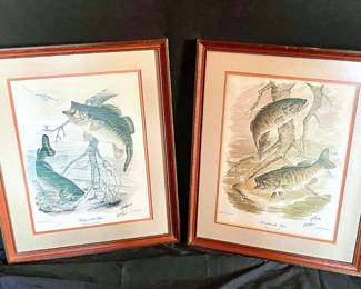 648 Howard Fain Bass Prints