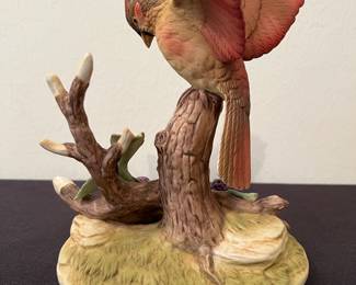Cardinal by Andrea