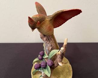 Cardinal by Andrea