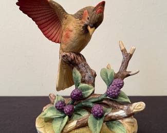 Cardinal by Andrea