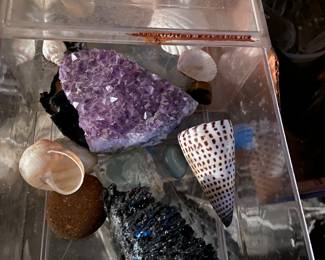 Rocks and shells