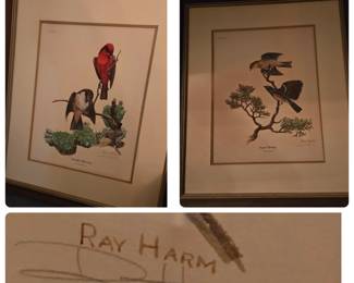 Ray Harm signed bird prints. Excellent framed condition.