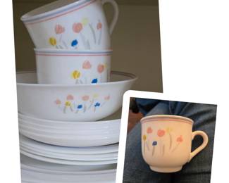 16 piece set Arcopal France Pastoral