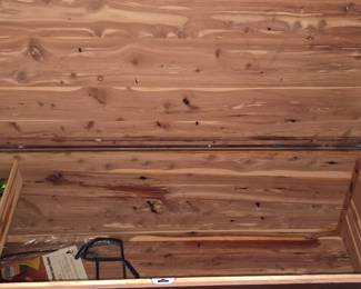 Inside Cedar Chest 
