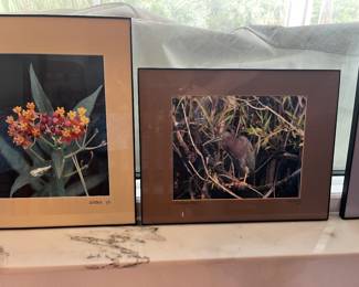 Original photography by Jack Heath signed