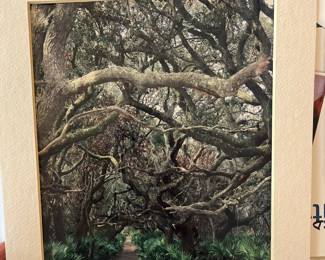 Photography signed