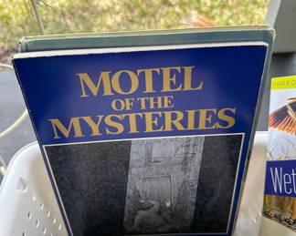 Motel of mysteries book