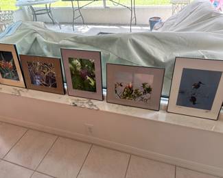 Photos of birds most  signed by photographer