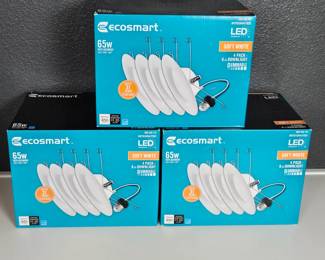 New in Box Ecosmart 65 Watt