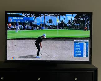 55 inch Sony Bravia with wall arm-  KDL-55HX800 