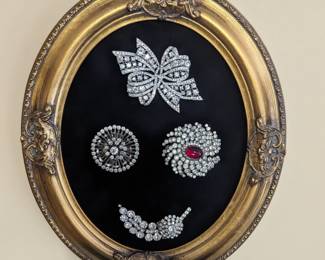Vintage brooch's framed
