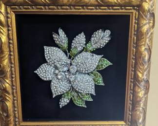 Vintage brooch's framed