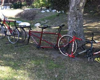 BACKYARD-BICYCLES OVERVIEW