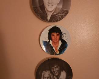 Elvis collectors plates $7 each 