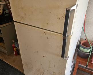 Garage fridge ( ugly But works very well) $100