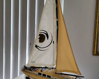 Radio controlled boat