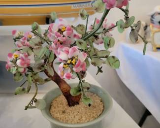 Jade tree