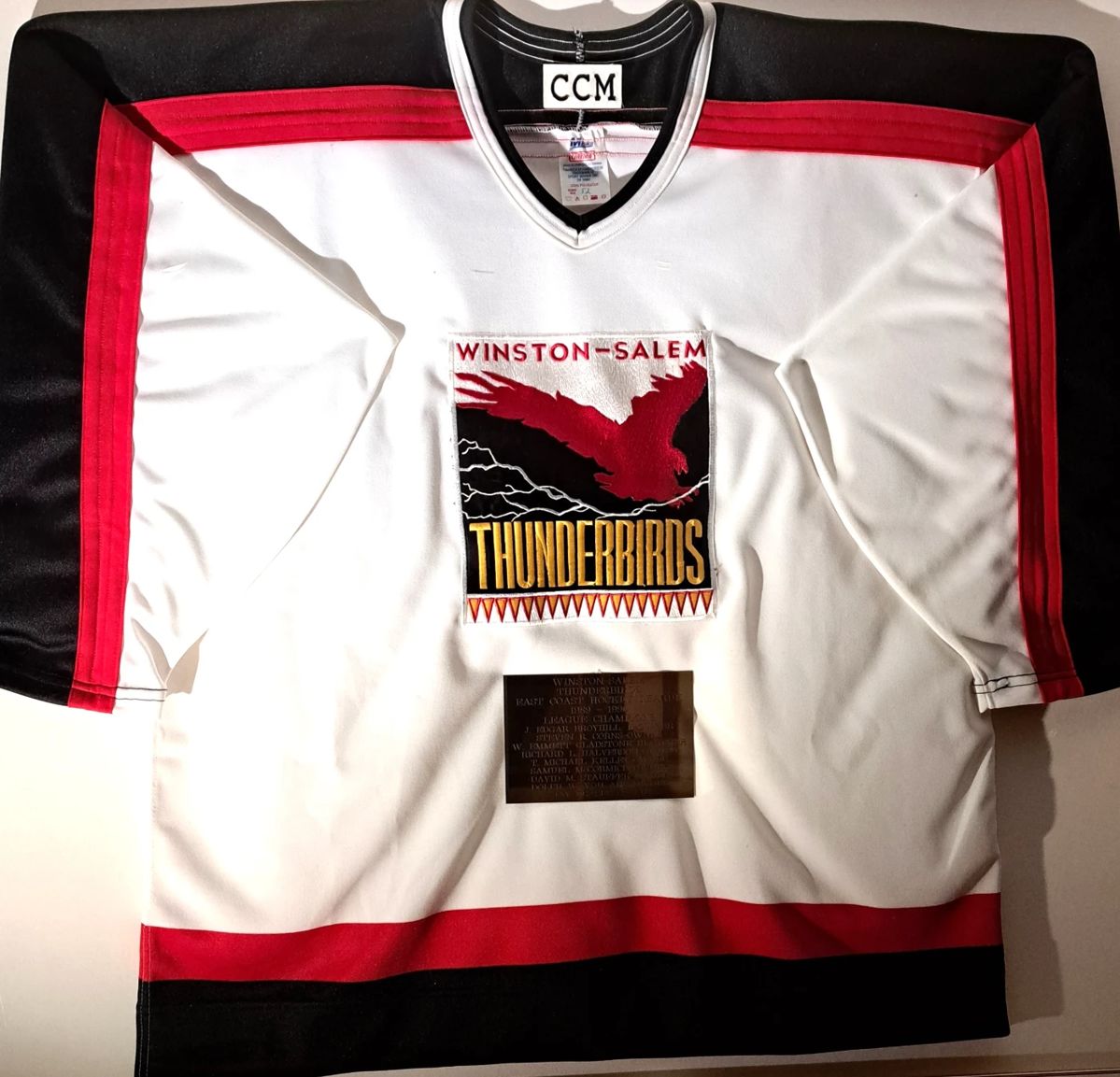 RARE FRAMED WINSTON SALEM THUNDERBIRDS HOCKEY JERSEY 