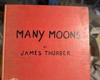 Many Moons by James Thurber 