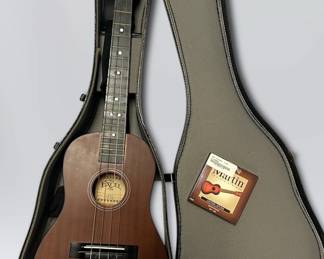 Excel Ex 952 Ukulele Case With Martin Nylon Strings