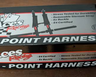Aces 4-Point Harness
New