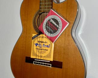 FENDER GUITAR- STRINGS INCLUDED 