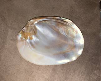 Mother of Pearl Shells- nice selection