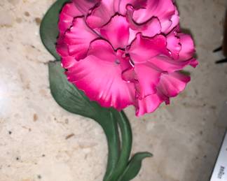 Capidimonte Carnation