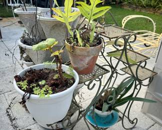 The plant stand is sold.