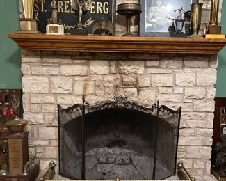 Fireplace screen and brass surround.