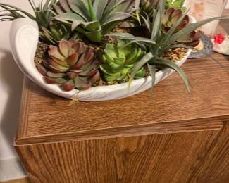 Succulents