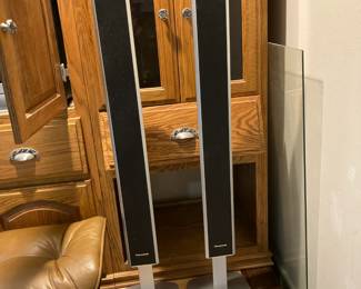 Panasonic Adjustable Speakers